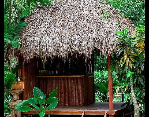 Pura Vibra Aparthotel 4*